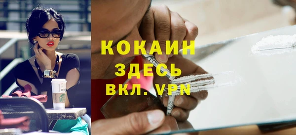 тгк Лагань